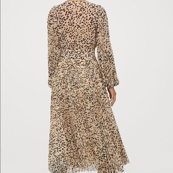 H&M’s leopard print maxi dress - Picture 2 of 11